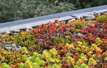 the cost of Lillington green roof installation