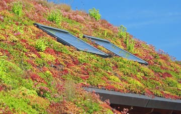 Lillington living roof systems