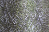 Lillington fibreglass roof work